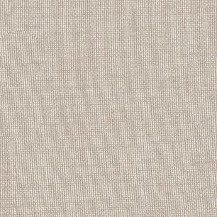 Wheat Tabby