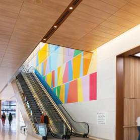 Solid Surface Transforms Hospital