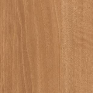 Brazilwood