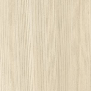 Field Elm