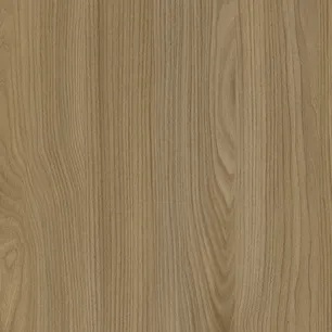 Acorn Velvet Elm