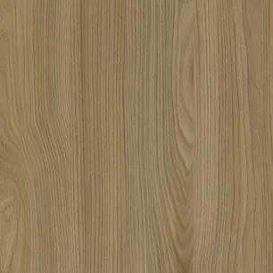 Acorn Velvet Elm