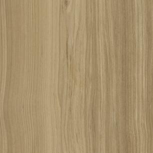 Fawn Cypress