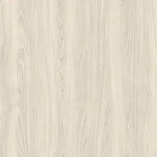 Ivory Birch