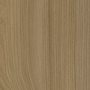 Acorn Velvet Elm