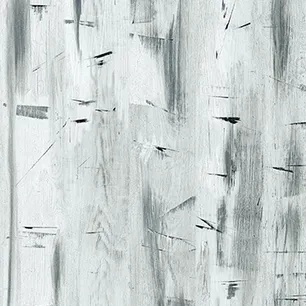 Silver Gesso Wood