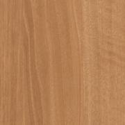 Brazilwood