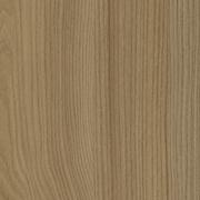 Acorn Velvet Elm
