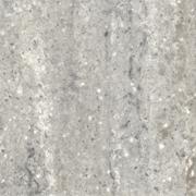 Grey  Beola