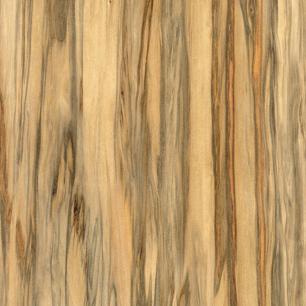Raw Eucalyptus
