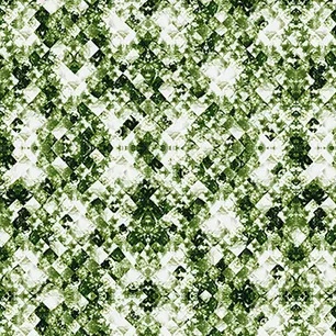 Canopy