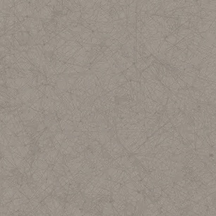 Constellation Grey