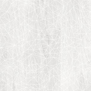 Snow Geo