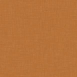 Copper Alloy