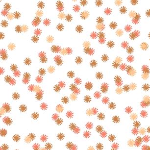 Apricot Glow Daisy