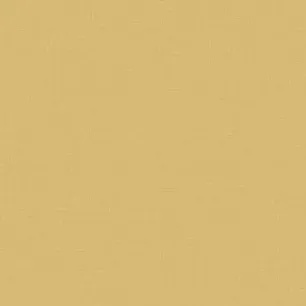 Pale Brass