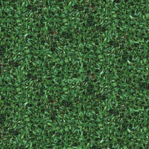 Turf