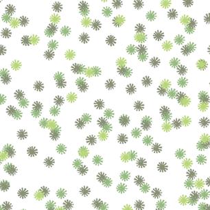 Envy Daisy