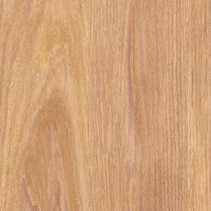 Apricot Alona