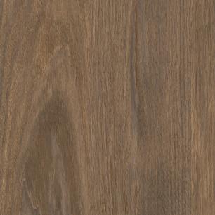 Russet Alona