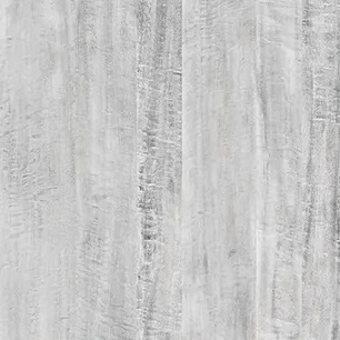 Silver Eucalyptus