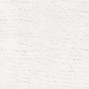 Textured Papyrus