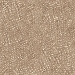 Hammered Light Bronze