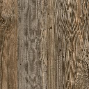 Lost Pine