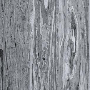 Silver Olive