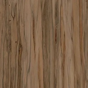 Fawn Eucalyptus