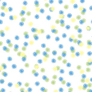 Field Daisy