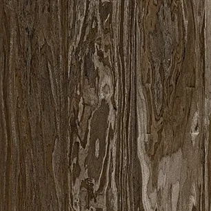 Mocha Olive