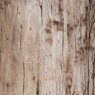 Beach Antique Wood