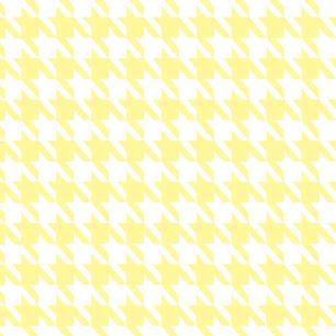 Chic Houndstooth