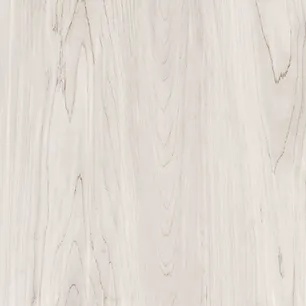 Salt Cedar