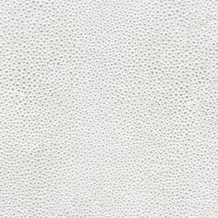 Platinum Shagreen