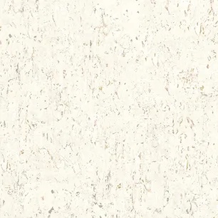 Mountain White Birch