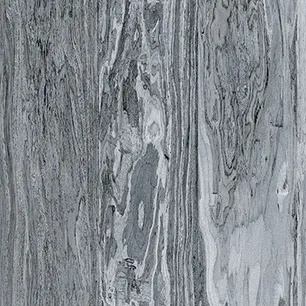 Silver Olive