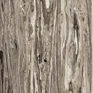 Weathered Olive