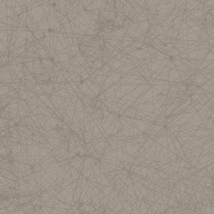Constellation Grey