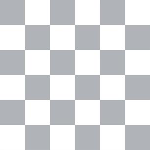Checkered Slacks
