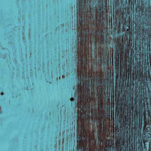 Border Blue Pine