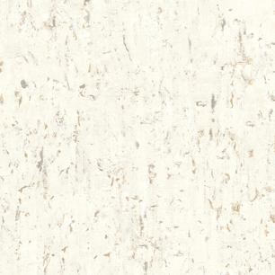 Mountain White Birch