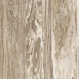 Sun Bleached Olive