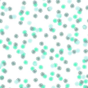 Wintergreen Daisy