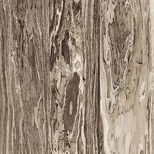 Weathered Olive
