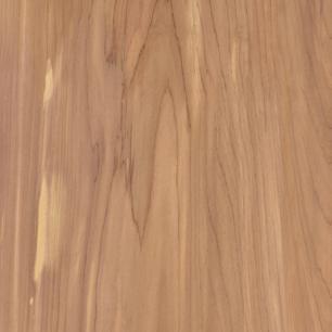 Cedar
