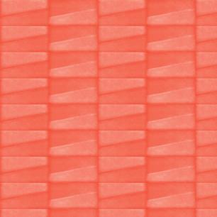 Coral Jigsaw