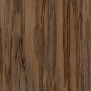 Fawn Eucalyptus
