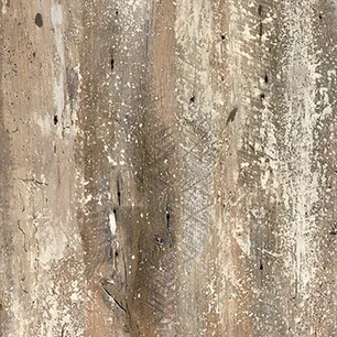 Carpenter's Bench